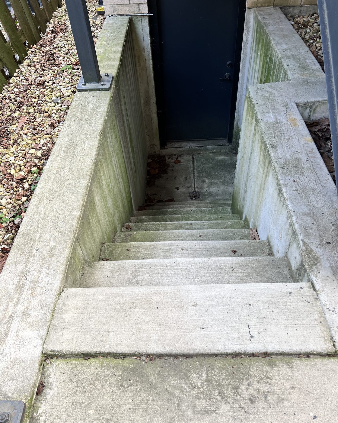 Algae-covered basement stairwell before power washing